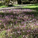 Vakantiehuis La Grange De Fonclause