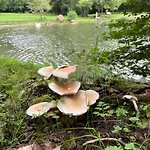 La Grange De Fonclause La Rouquette