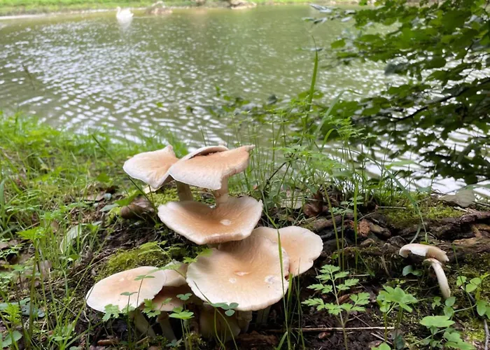 La Grange De Fonclause La Rouquette